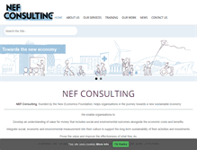 Tablet Screenshot of nefconsulting.com